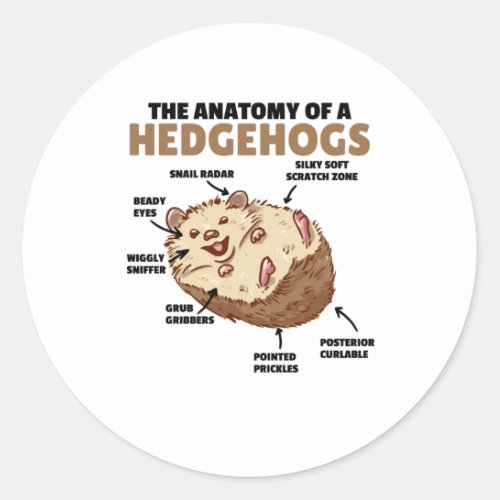 Cute Hedgehog Explanation Anatomy Of A Hedgehogs Classic Round Sticker