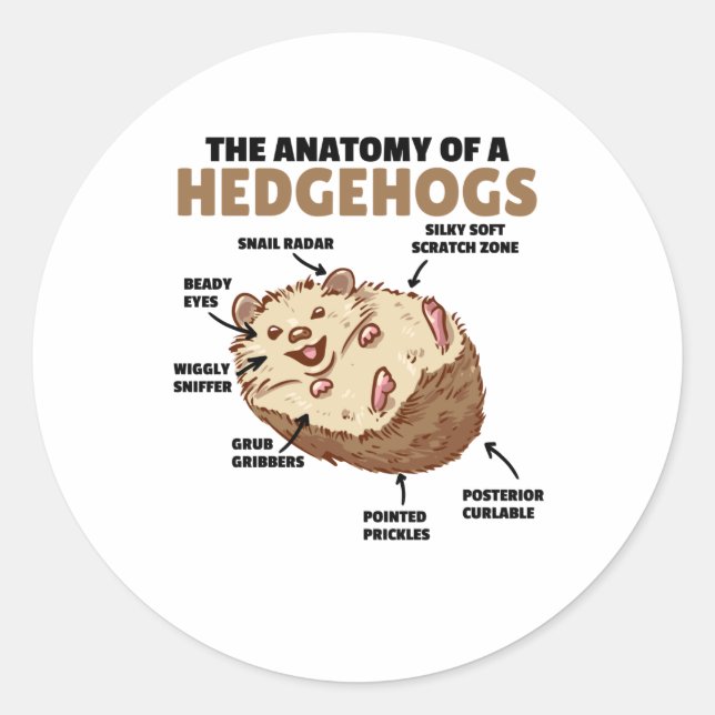 Cute Hedgehog Explanation Anatomy Of A Hedgehogs Classic Round Sticker (Front)