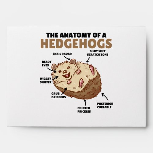 Cute Hedgehog Explanation Anatomy Of A Hedgehogs Envelope