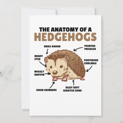 Cute Hedgehog Explanation Anatomy Of A Hedgehogs Invitation