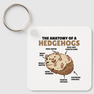 Cute Hedgehog Explanation Anatomy Of A Hedgehogs Keychain