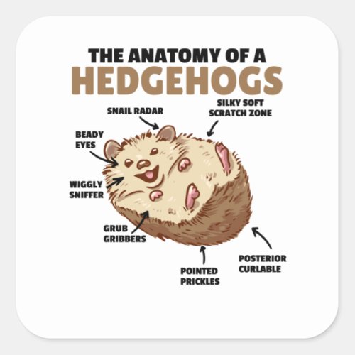 Cute Hedgehog Explanation Anatomy Of A Hedgehogs Square Sticker