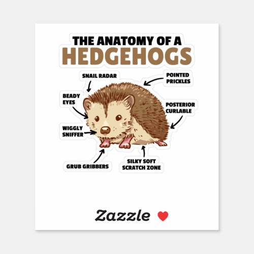 Cute Hedgehog Explanation Anatomy Of A Hedgehogs Sticker