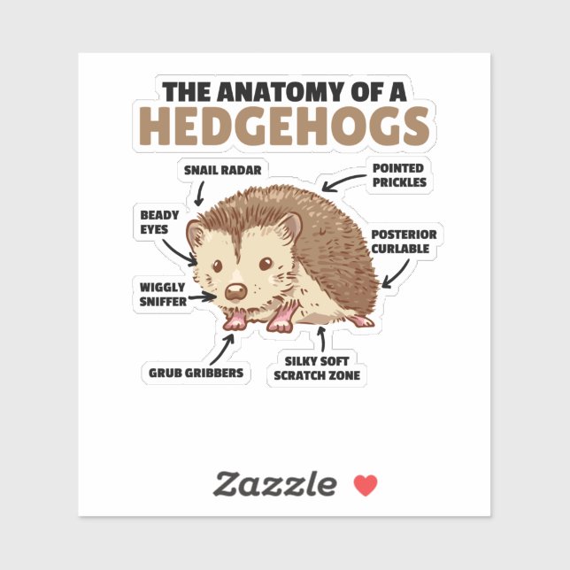 Cute Hedgehog Explanation Anatomy Of A Hedgehogs Sticker (Sheet)