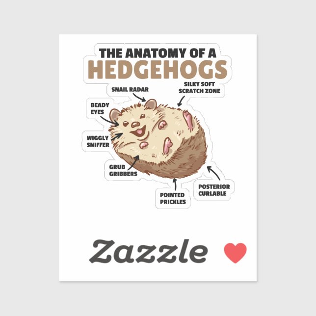 Cute Hedgehog Explanation Anatomy Of A Hedgehogs Sticker (Sheet)