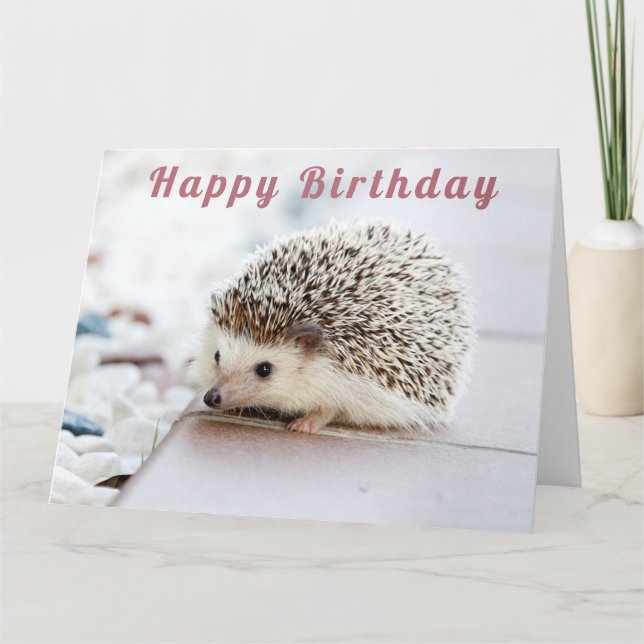 Cute Hedgehog - Happy Birthday Card (Front)