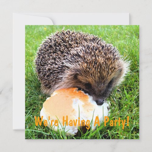 CUTE HEDGEHOG INVITATIONS