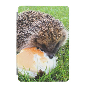CUTE HEDGEHOG iPad MINI COVER