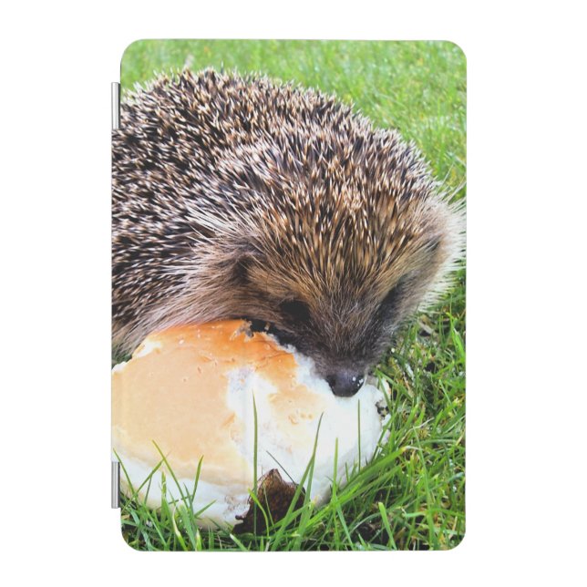 CUTE HEDGEHOG iPad MINI COVER (Front)