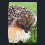 CUTE HEDGEHOG  iPad PRO COVER<br><div class="desc">A cute little hedgehog enjoying a rather large meal!</div>