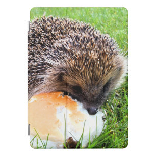 CUTE HEDGEHOG iPad PRO COVER