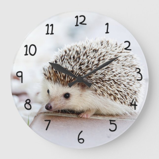Cute Hedgehog Large Clock (Front)