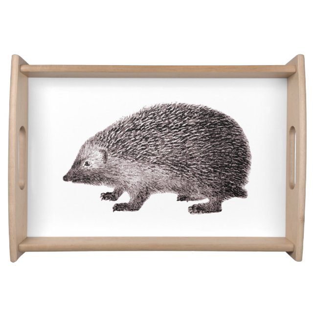 Cute Hedgehog Little Hedgie Drawing Serving Tray (Front)