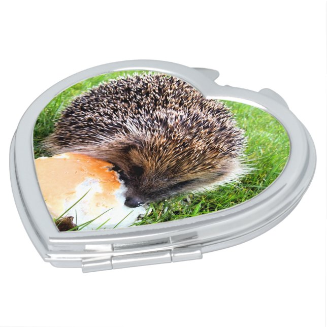 CUTE HEDGEHOG MAKEUP MIRROR (Turned)