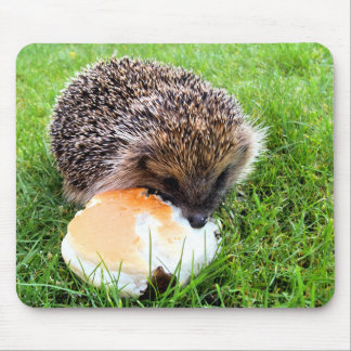 CUTE HEDGEHOG MOUSE PAD