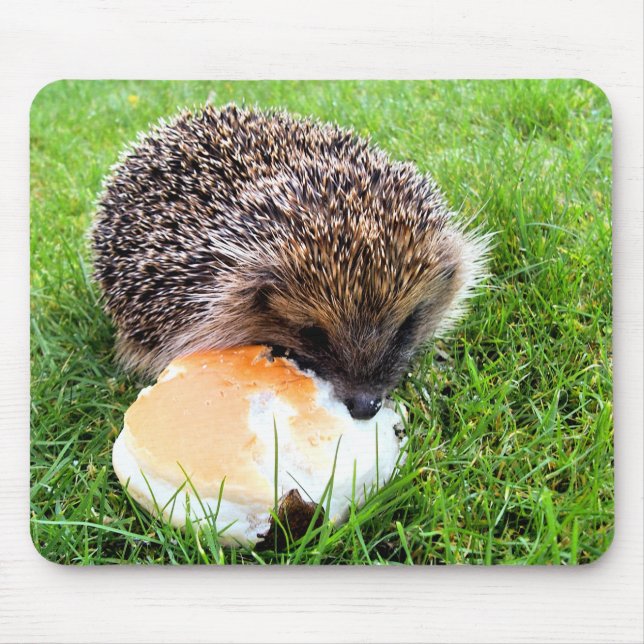 CUTE HEDGEHOG MOUSE PAD (Front)