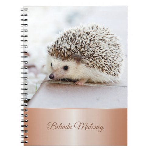 Cute Hedgehog Notebook