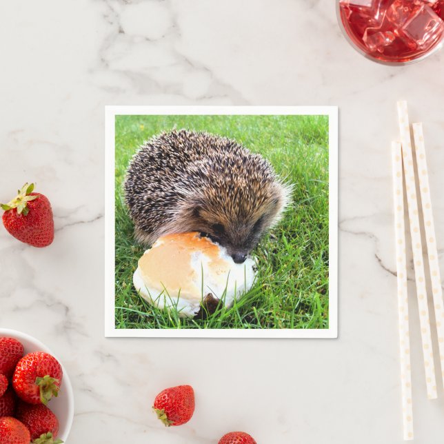 CUTE HEDGEHOG PAPER NAPKINS (Insitu)