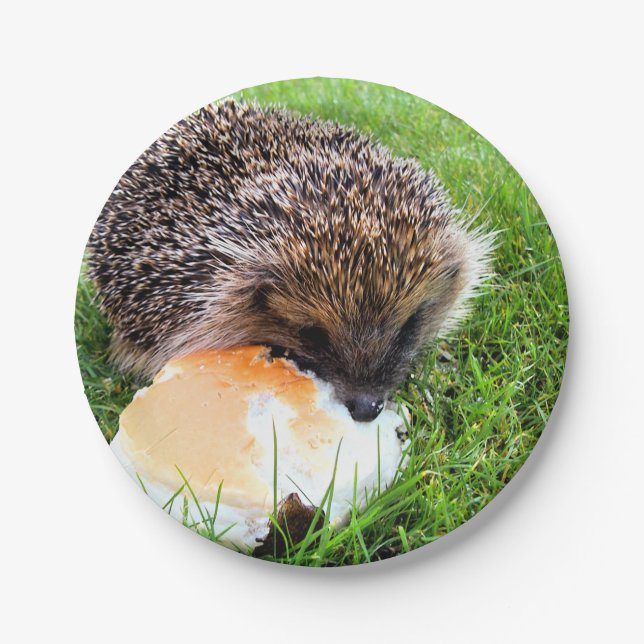 CUTE HEDGEHOG PAPER PLATES (Front)