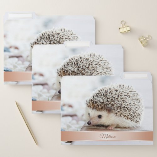 Cute Hedgehog Photo Rose Gold Monogram File Folder