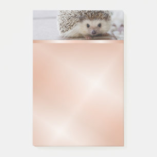 Cute Hedgehog Photo Rose Gold Post-it Notes