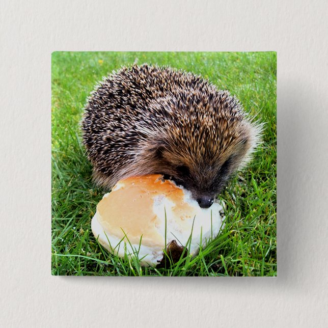 CUTE HEDGEHOG PINBACK BUTTON (Front)