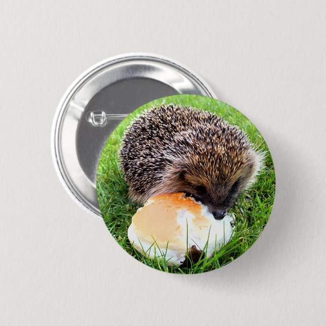 CUTE HEDGEHOG PINBACK BUTTON (Front & Back)