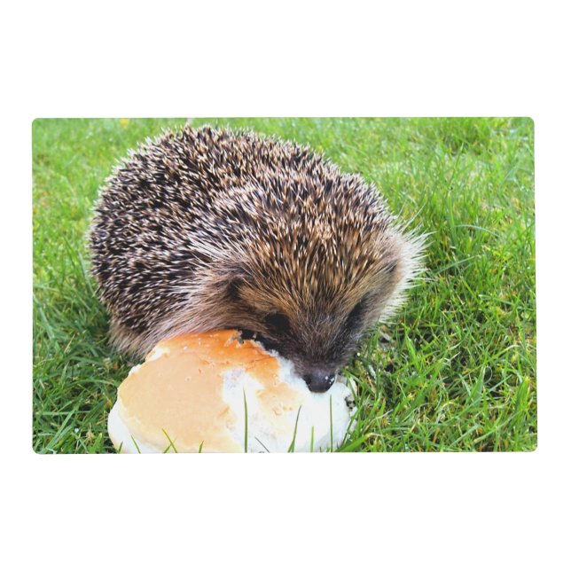 CUTE HEDGEHOG PLACEMAT (Front)