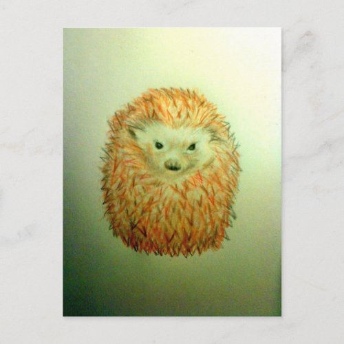 Cute Hedgehog Postcard