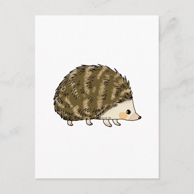 Cute hedgehog postcard (Front)