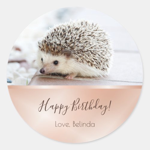 Cute Hedgehog Rose Gold Birthday   Classic Round Sticker