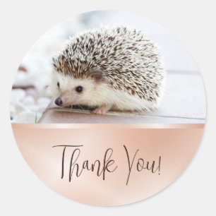 Cute Hedgehog Rose Gold Thank You Classic Round Sticker