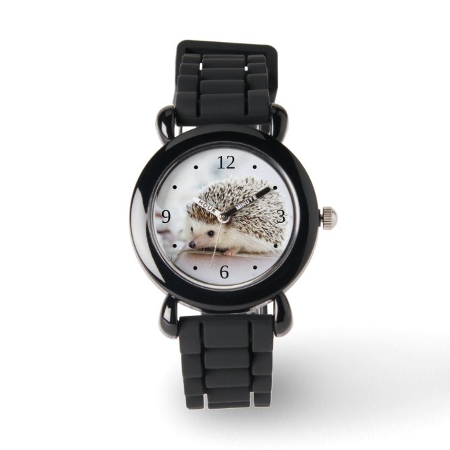 Cute Hedgehog Silver Monogram Numbers Watch (Front)