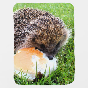 CUTE HEDGEHOG STROLLER BLANKET