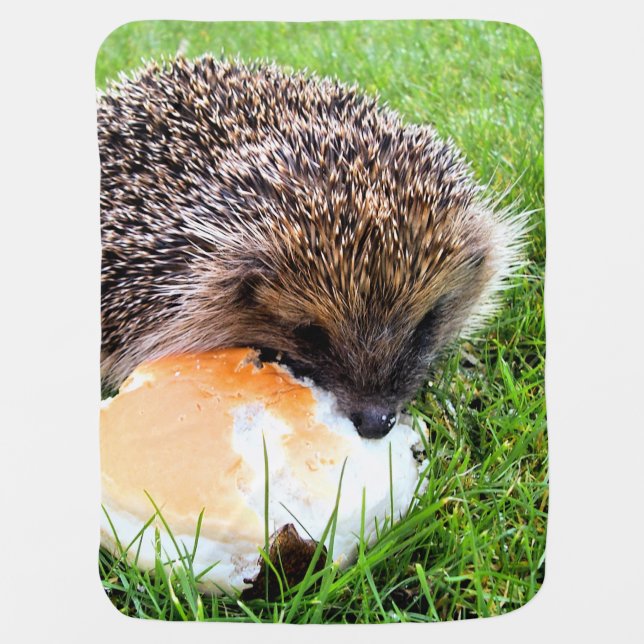CUTE HEDGEHOG STROLLER BLANKET (Front)