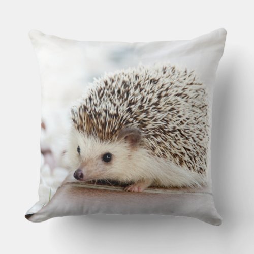 Cute Hedgehog Throw Pillow