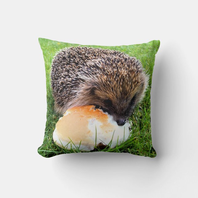 CUTE HEDGEHOG THROW PILLOW (Front)