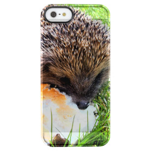 CUTE HEDGEHOG CLEAR iPhone SE/5/5s CASE
