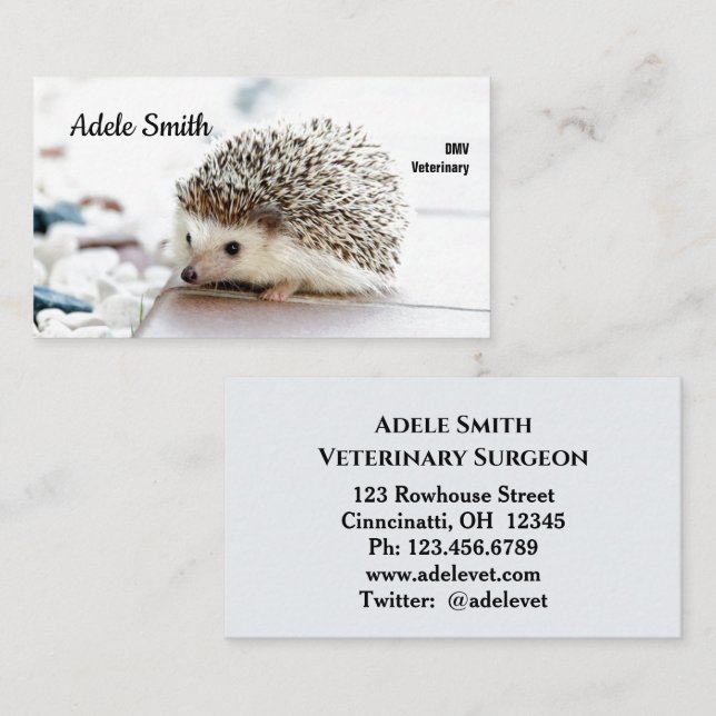 Cute Hedgehog Veterinarian Standard Business Card (Front/Back)