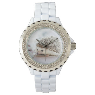 Cute Hedgehog Watch