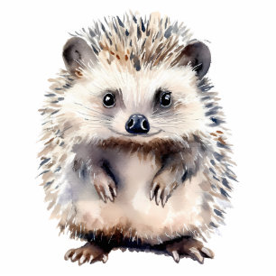 Cute Hedgehog Watercolor Animal Nature Wildlife Cutout