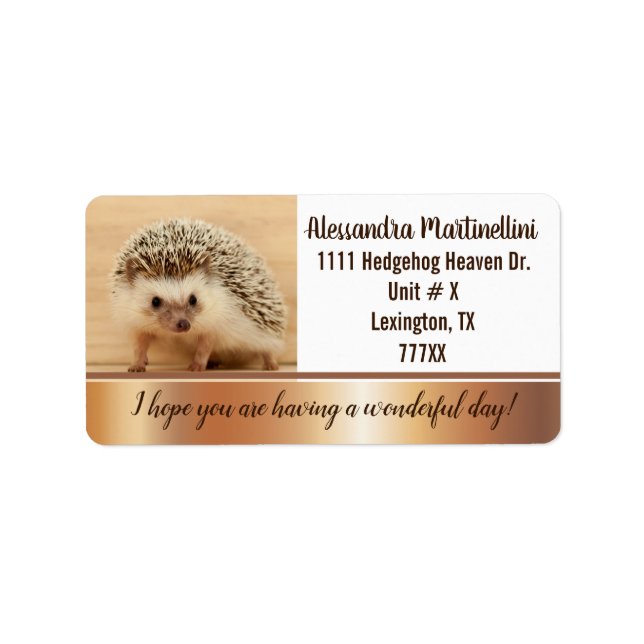 Cute Hedgehog Wonderful Day Return Address Labels (Front)