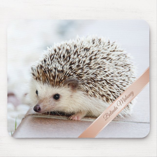 Cute Hedgehoog Monogram  Mouse Pad (Front)
