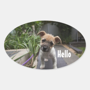 Cute Hello Puppy Oval Stickers