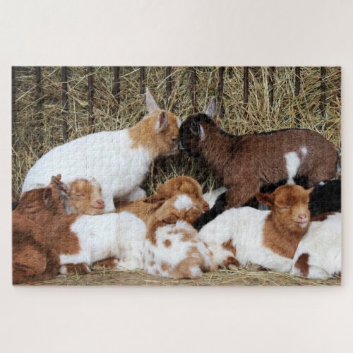 Cute Herd of Baby Goat Kids Jigsaw Puzzle