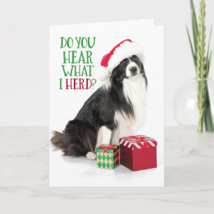Cute Herding Border Collie With Christmas Gifts Holiday Card