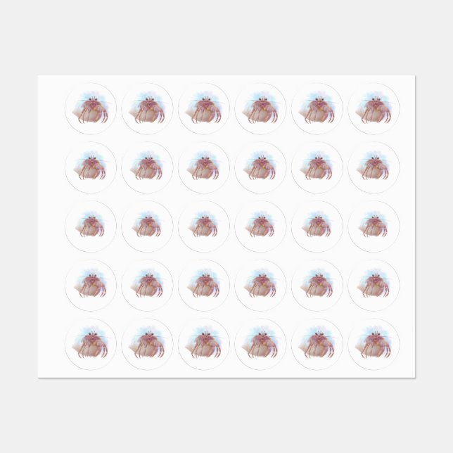 Cute hermit crab sketch labels (Sheet)