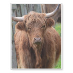 Cute Highland Cow by Fence Temporary Tattoos