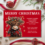 Cute Highland Cow Christmas Holiday Card