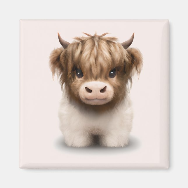 Cute Highlands Scottish Cow Magnet (Front)
